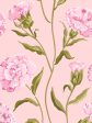 Townhouse  Wallpaper by Sarah Jessica Parker - Slipper on Rosé For Cheap