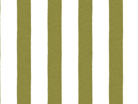 Grosgrain Stripe on White  Wallpaper by Sarah Jessica Parker - Olive For Cheap