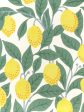 Fabric by the Yard - Lemons - Natural on Organic Twill Cheap