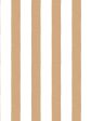 Grosgrain Stripe on White  Wallpaper by Sarah Jessica Parker - Pecan Fashion