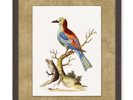 Woodland Perch 2  by Nathan Turner Framed Art Online