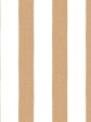 Grosgrain Stripe on White  Wallpaper by Sarah Jessica Parker - Pecan Fashion