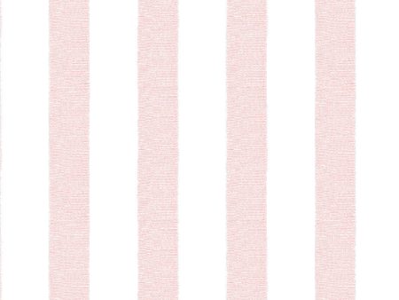 Grosgrain Stripe on White  Wallpaper by Sarah Jessica Parker - Slipper Online