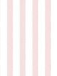 Grosgrain Stripe on White  Wallpaper by Sarah Jessica Parker - Slipper Online