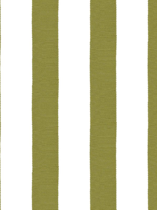 Grosgrain Stripe on White  Wallpaper by Sarah Jessica Parker - Olive For Cheap