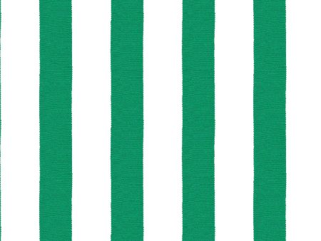 Grosgrain Stripe on White  Wallpaper by Sarah Jessica Parker - Emerald Cheap